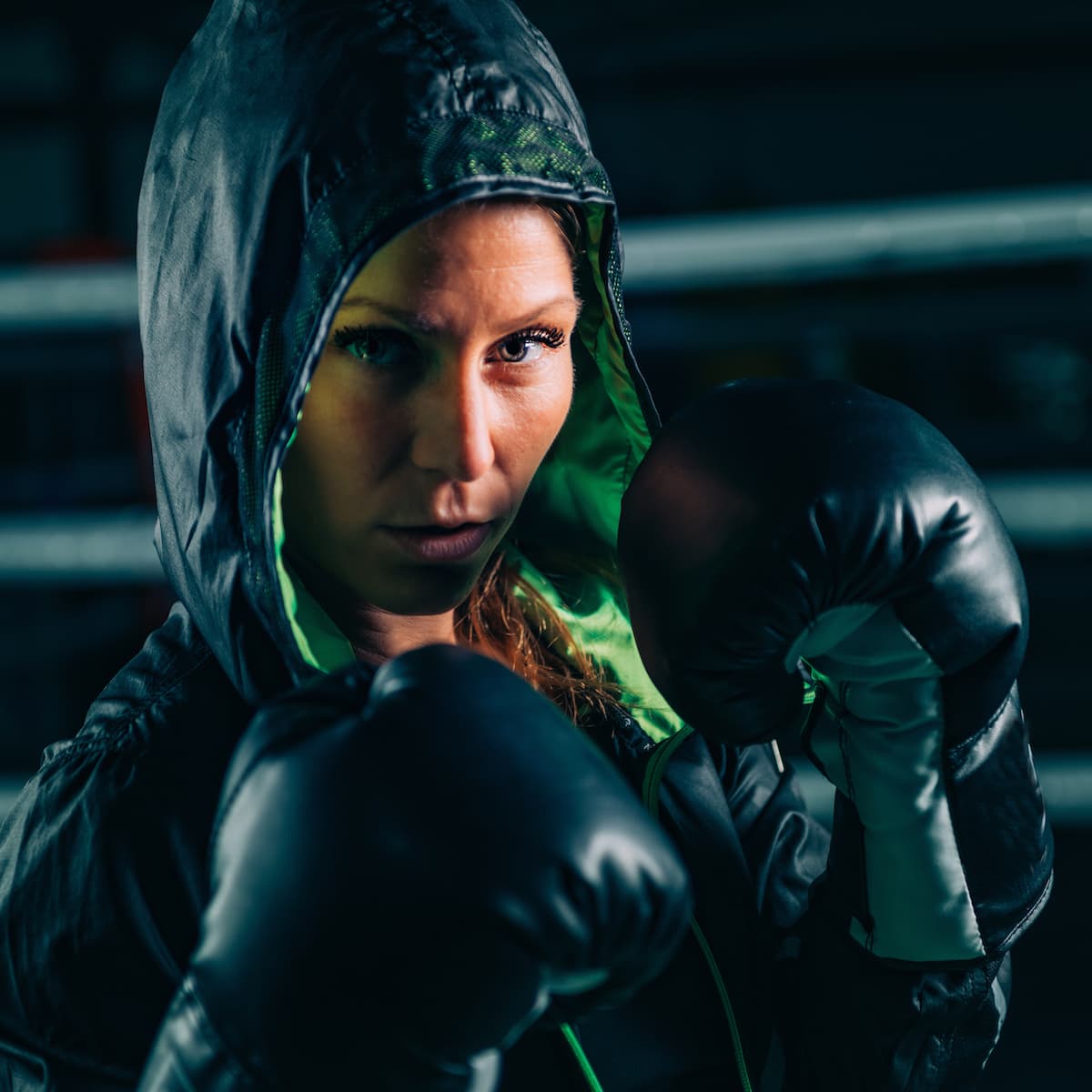 Boxer composed in a training portrait.
